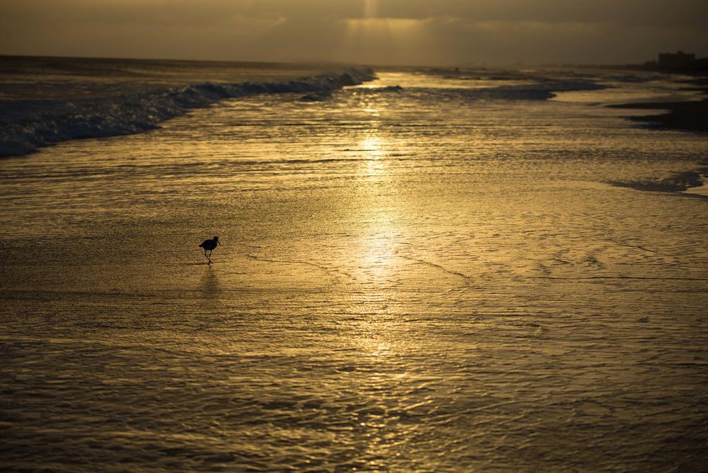 Atlantic Beach Resort, A Ramada By Wyndham Esterno foto