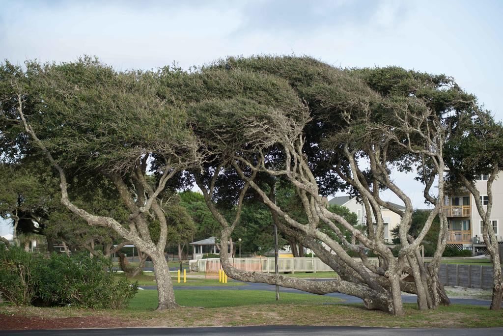 Atlantic Beach Resort, A Ramada By Wyndham Esterno foto